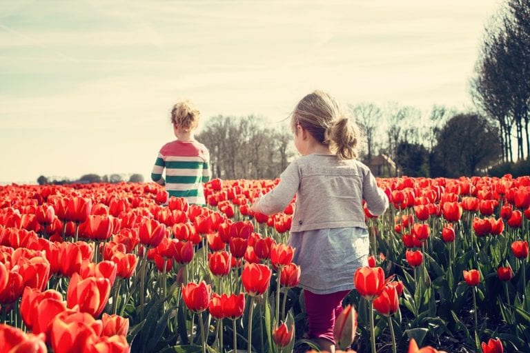 Tourists are good for the economy, but bad for the tulips: A new campaign aims to stop that