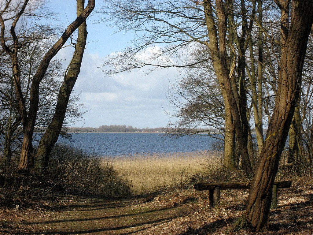 photo-of-path-leading-to-gooimeer-lake-amsterdam-on-horizon