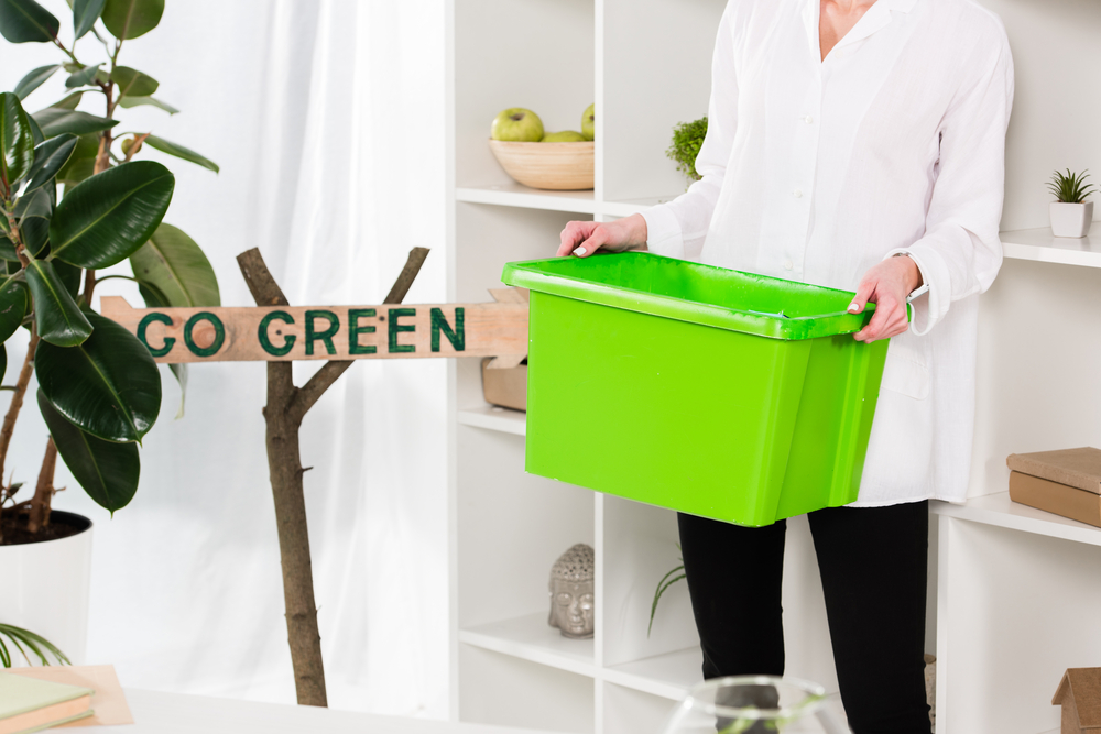 photo-of-Dutch-woman-holding-energy-sustainability--box