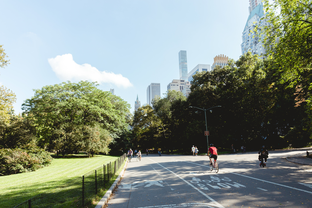 photo-of-car-free-roads-in-the-Netherlands-for-sustainability