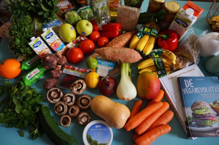 Food Valley in the Netherlands: the specialists working to end the food crisis
