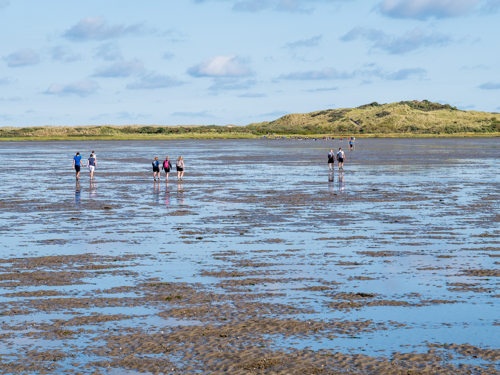 group-mudflat-walking-ameland-netherlands