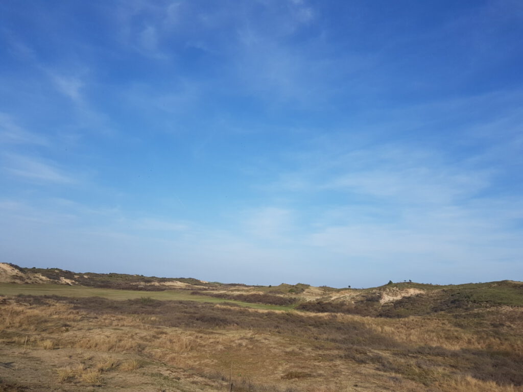 picture-of-dune-in-winter-landscape-in-scheveningen-the-hague-route-for-hiking-in-the-netherlands