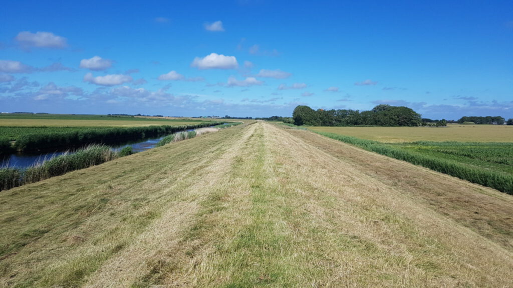 picture-of-field-in-texel-place-for-hiking-in-the-netherlands-during-winter