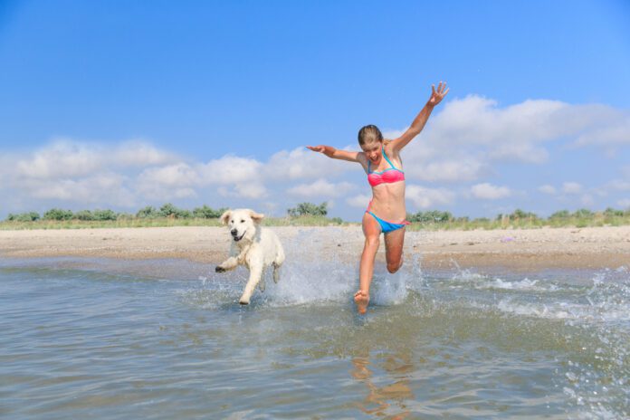 photo-of-girl-with-dog-at-beach-on-hot-summery-day-netherlands
