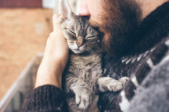 Close-up-photo-of-bearded-man-cuddling-and-giving-a-kiss-to-his-cute-cat