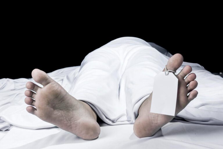 The Dutch are only JUST making necrophilia a criminal offence