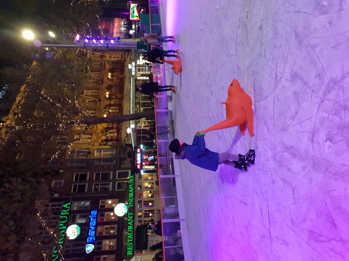 Wintertime on ice 6 spectacular seasonal ice rinks in the Netherlands