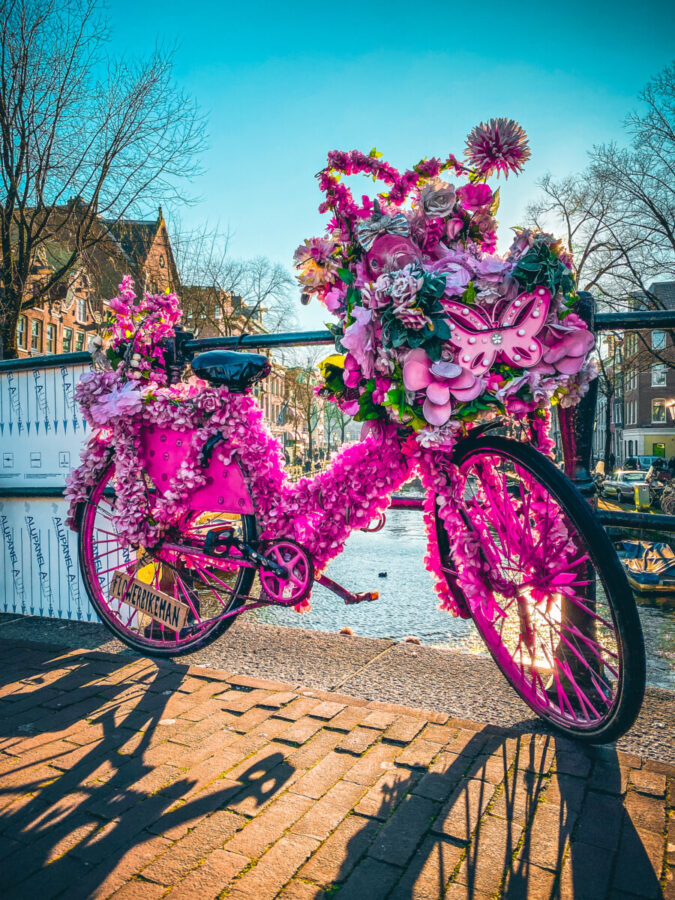 A-bike-covered-in-pink-flowers-from-flower-bike-man-in-Amsterdam