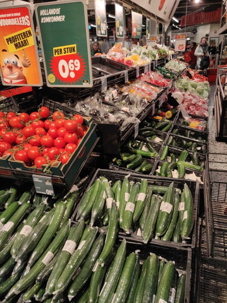 The Netherlands to recycle all plastic packaging by 2025 DutchReview