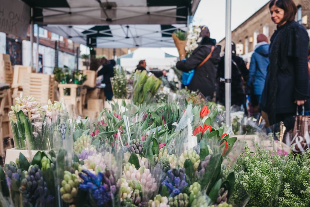 janskerkhof-flower-market-in-utrecht