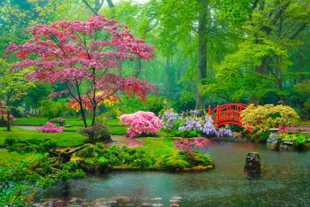 japanese-garden-park-clingendael-hague-netherlands