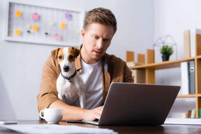 man-on-computer-searching-to-find-job-netherlands-with-dog-on-lap