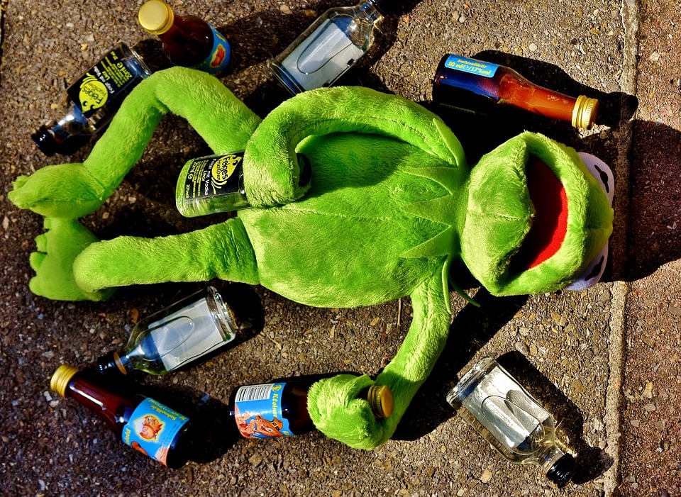 drunk-kermit-lying-on-floor-with-empty-alcohol-bottles