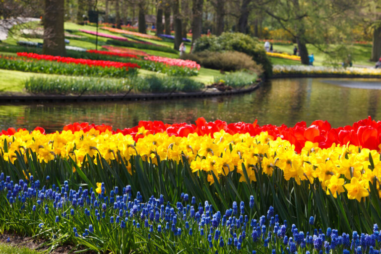 Visit the Keukenhof virtually this year through a 360 degree tour