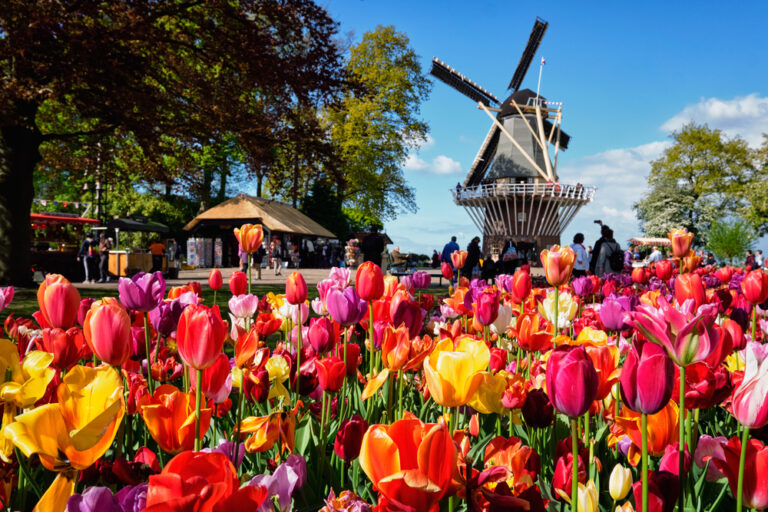 It’s time! Keukenhof 2025 is officially opening its doors