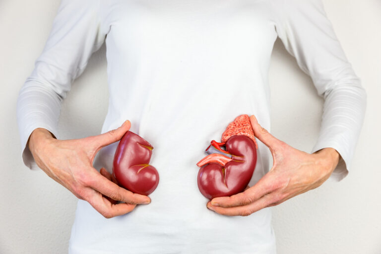 The Netherlands is seeing more permissions for organ donation