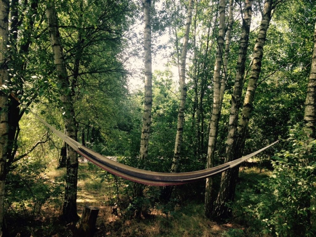 photo-hammock-at-natural-campsite-noord-brabant