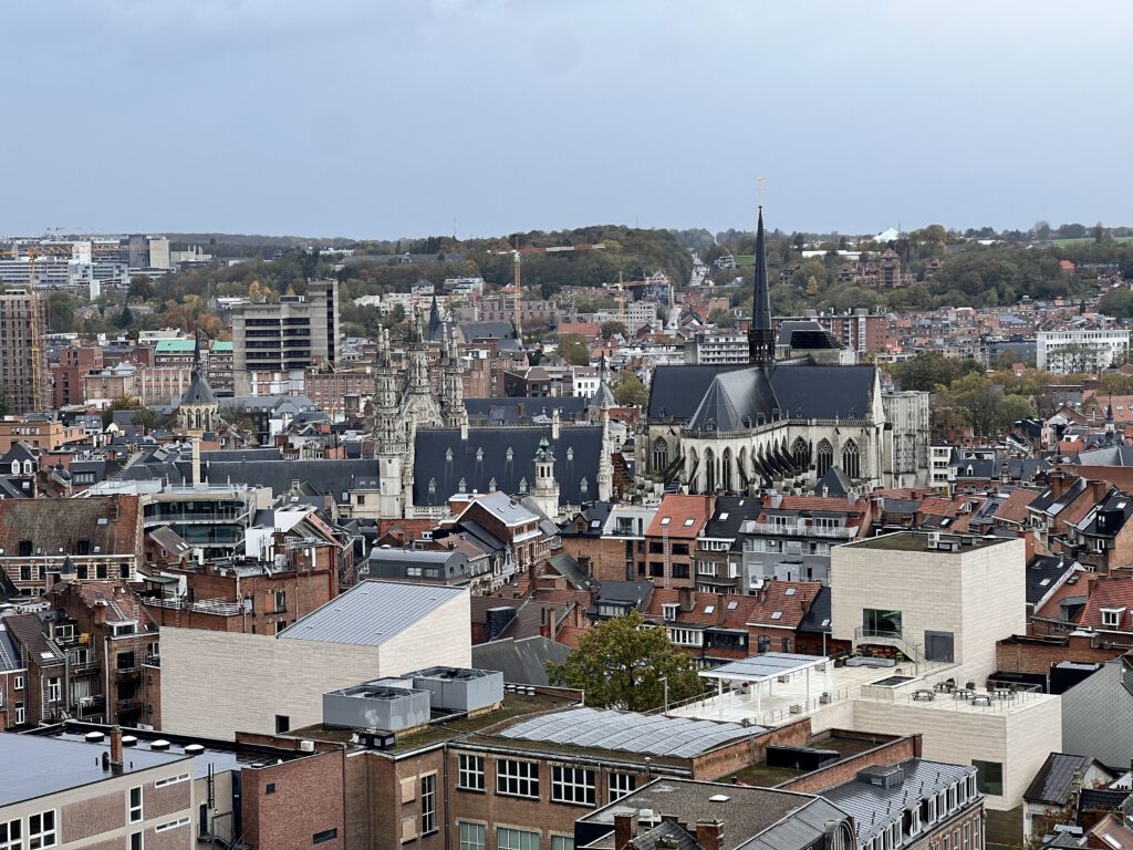 photo-of-leuven-skyline-view-from-tower