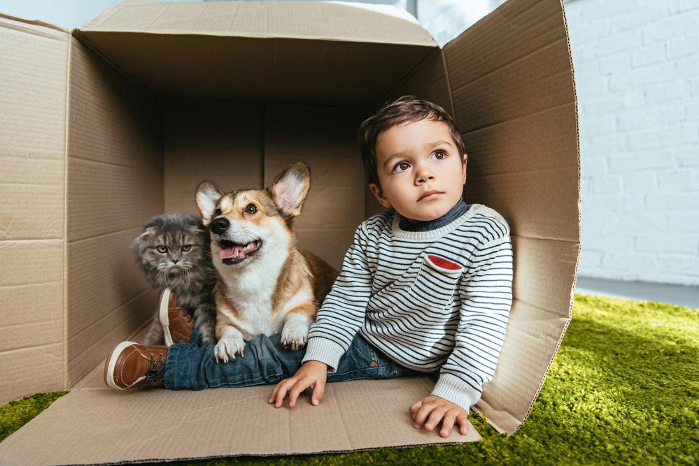 little-boy-in-a-box-with-a-cat-and-dog