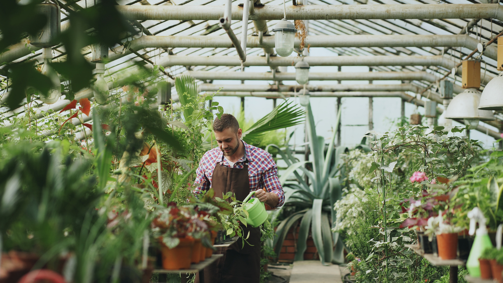 man-in-greenhouse-things-to-do-in-delft