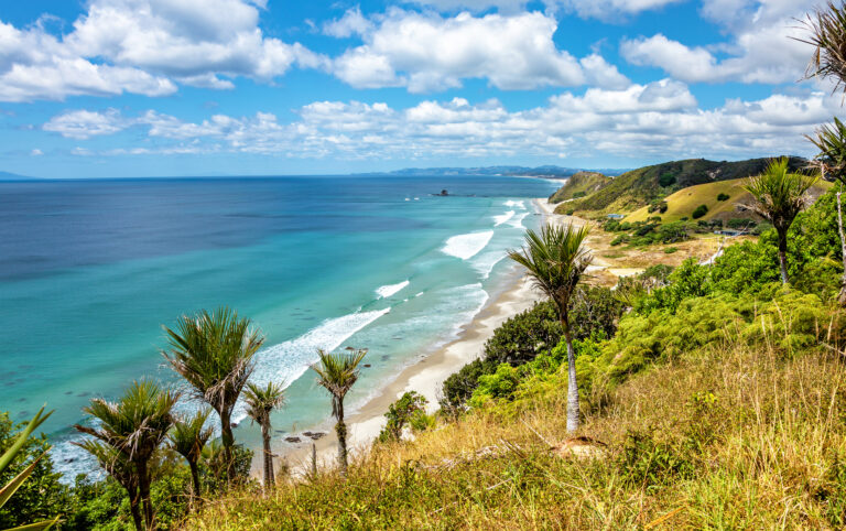 7 things the Dutch could learn from the Kiwis