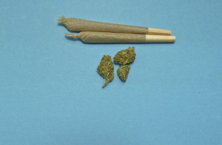 5 myths about weed in the Netherlands