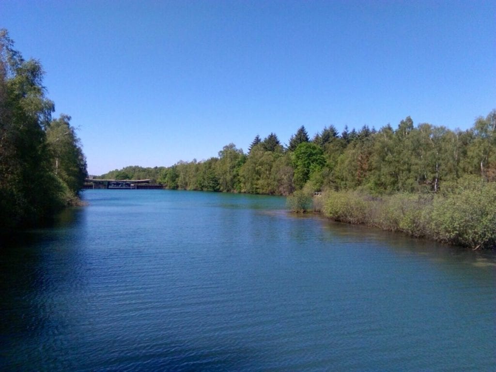 photo-lake-in-maasduinen-national-park-gelderland