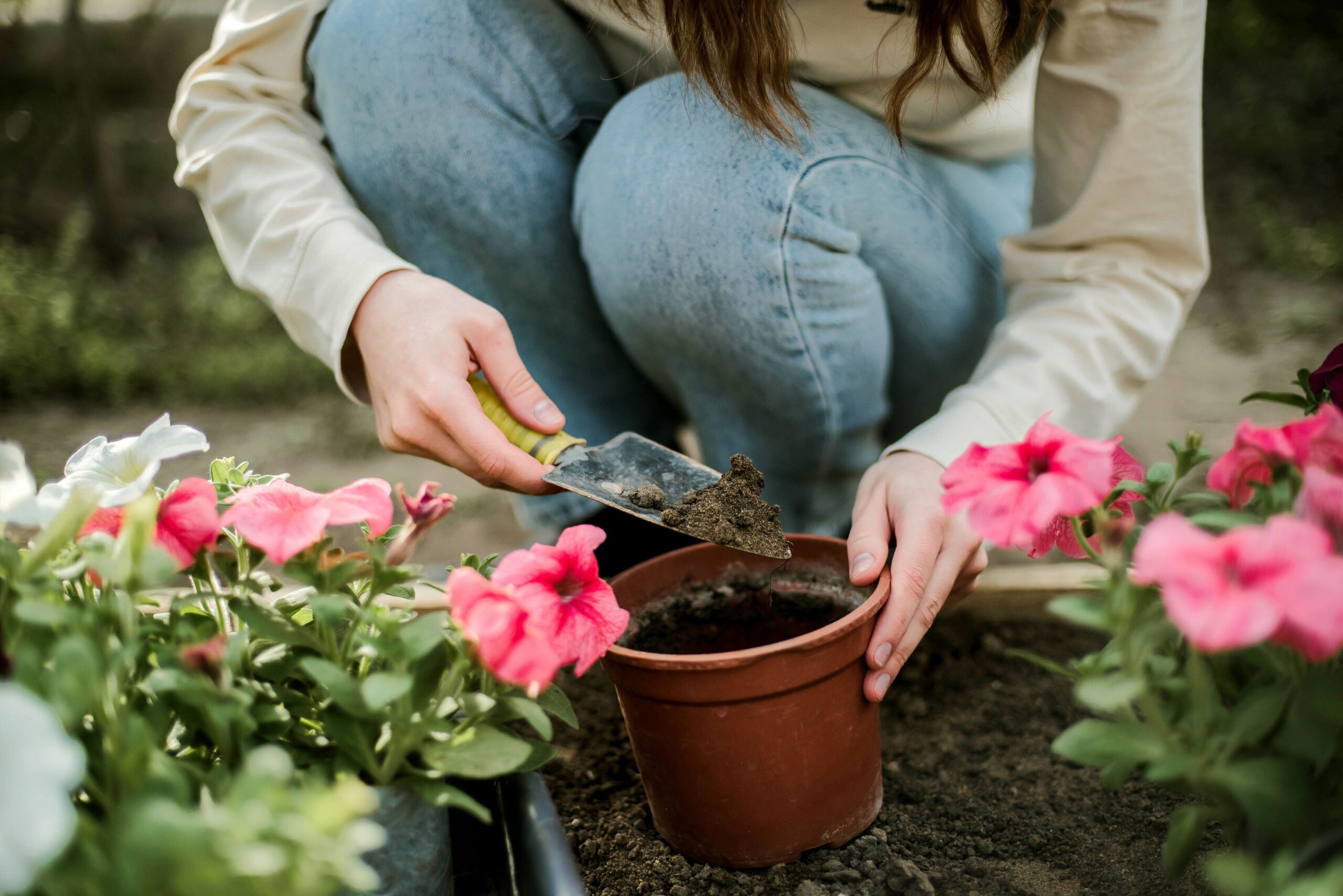 midsection-woman-holding-planting-flowers-in-sustainable-pot