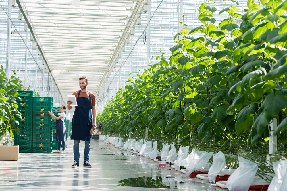 photo-of-new-food-systems-connecting-Dutch-companies-and-teaching-how-to-conduct-greener-business