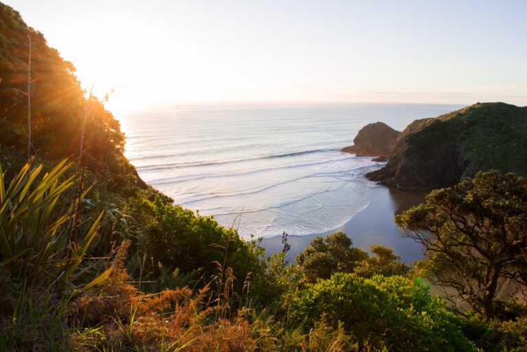 Petition launched to change New Zealand’s Dutch name to a Māori name