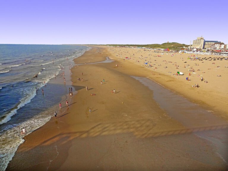Weekly weather forecast: plenty of sunshine with a chance of a heatwave