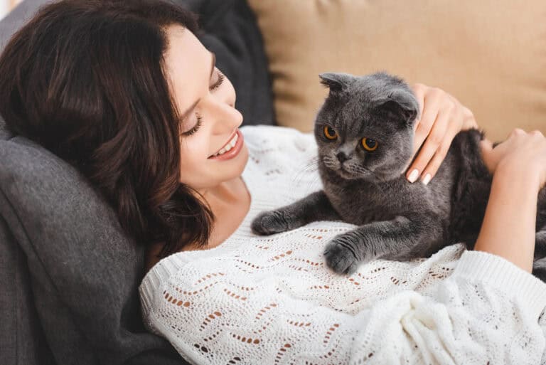 Dutch cat owners loved these names in 2024: Did your pet’s name make the list?