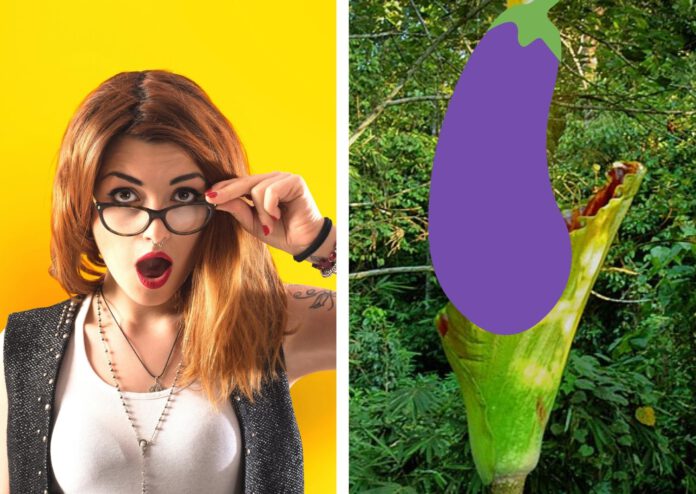 Photo-composite-of-woman-looking-at-penis-plant