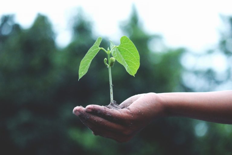 Green Deal will have Europe carbon neutral by 2050