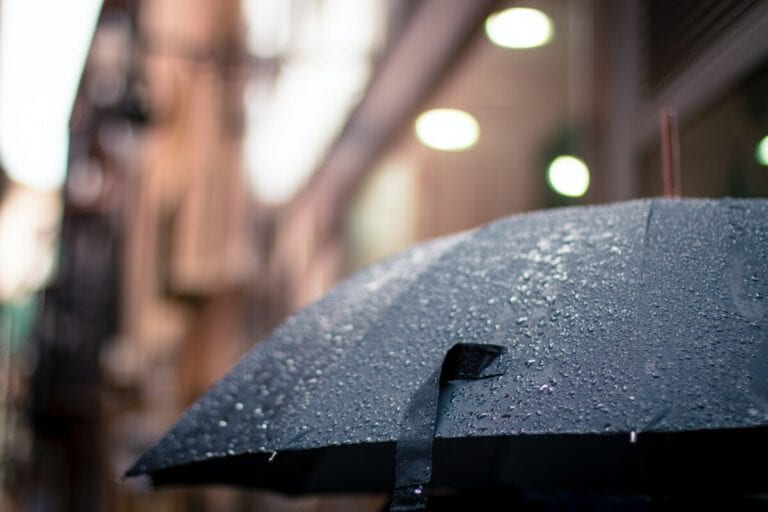 Let it rain: freezing and wet weather hits the Netherlands
