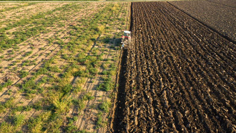 The easy guide to the Dutch nitrogen crisis, farmers’ protests, and more