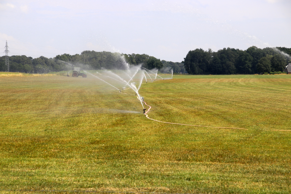 photo-of-farmland-being-sprayed-during-water-shortage-and-drought-in-the-netherlands