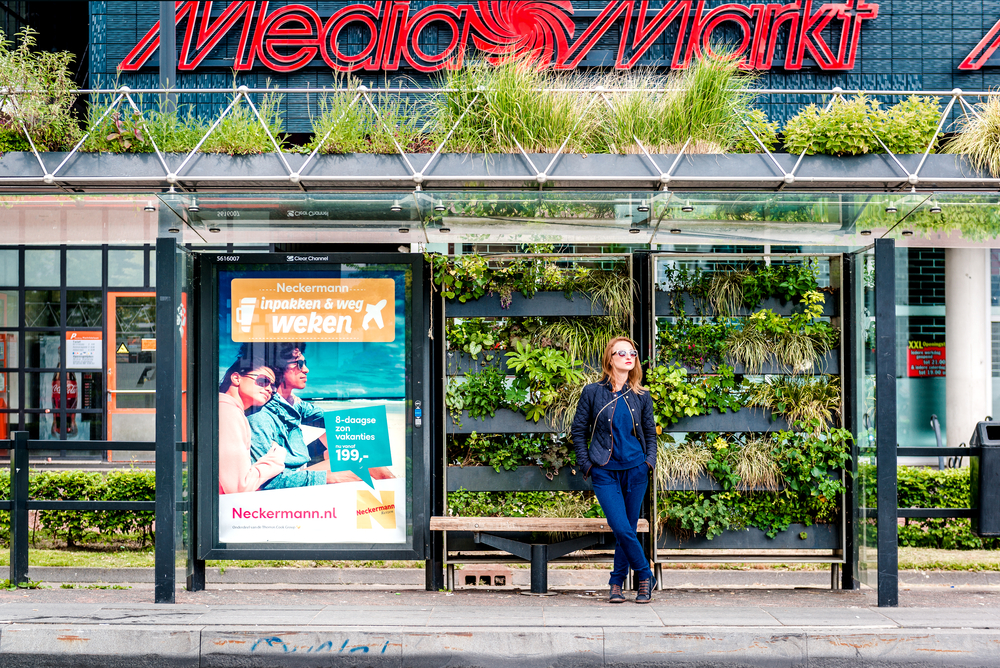 photo-of-sustainable-green-flower-bus-stop-for-bees-in-the-Netherlands