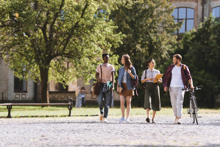 Dutch universities argue for a limit on the number of international students