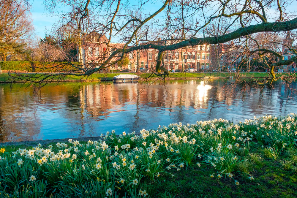 photo-of-park-in-Leiden