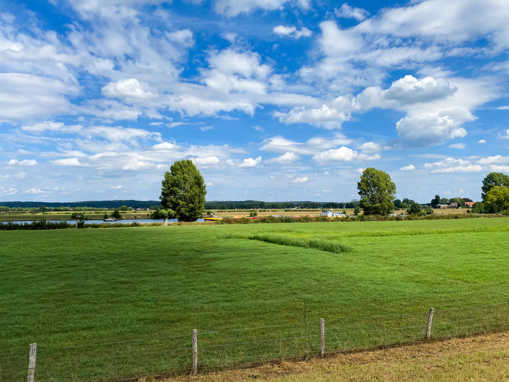 picture-of-grass-field-with-maas-river-in-background-nijmegen-netherlands