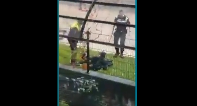 Den Haag police officers caught on video assaulting protestor