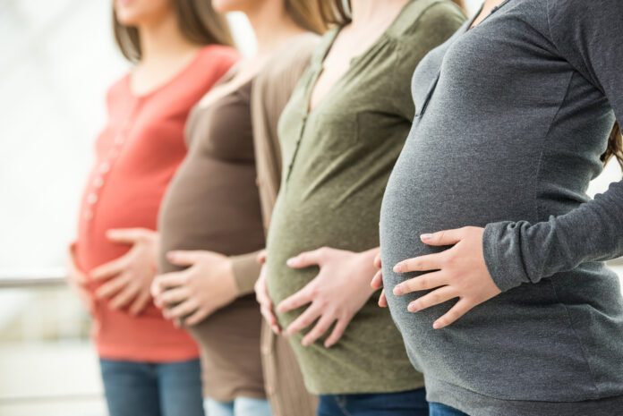 photo-of-multiple-pregnant-women-in-the-Netherlands