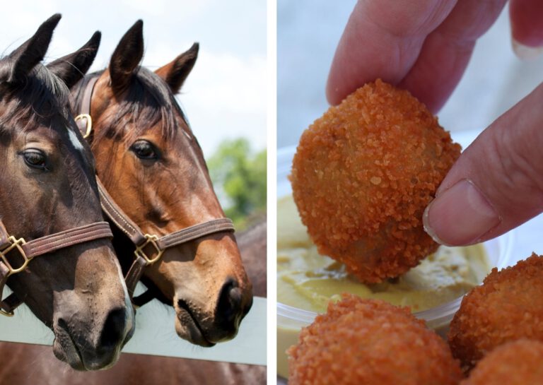 Oh neigh: illegal racehorse meat found in favourite Dutch snack food