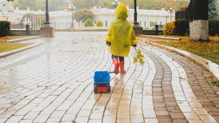 The Netherlands now gets more rain than EVER before