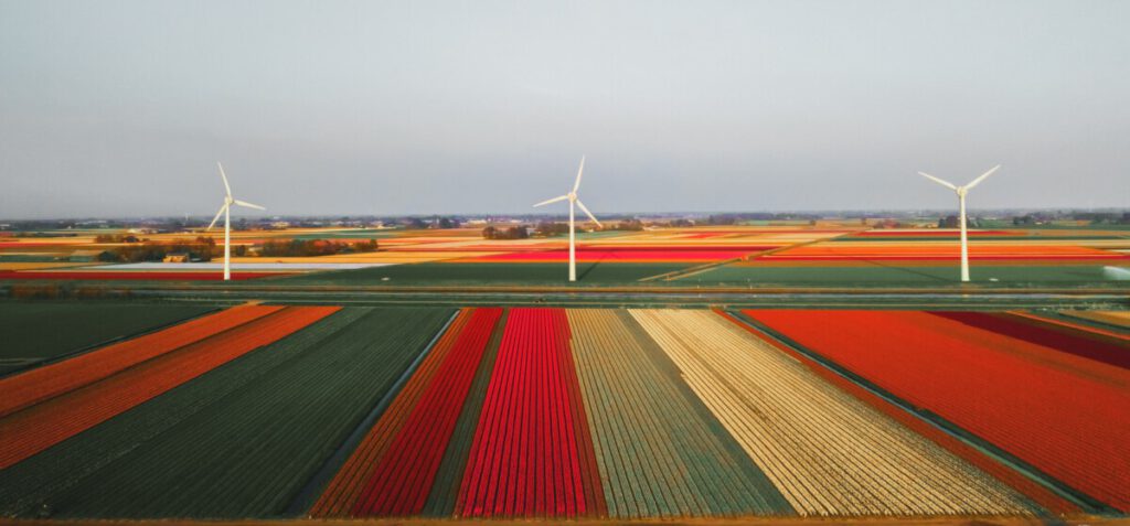 green-energy-netherlands-windmills