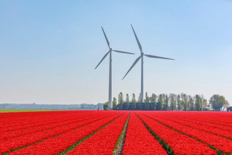 photo-of-wind-turbines-generating-renewable-energy-in-the-netherlands