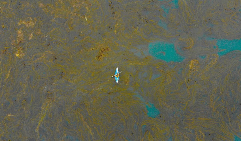 Photo-of-kayaker-in-oil-spill