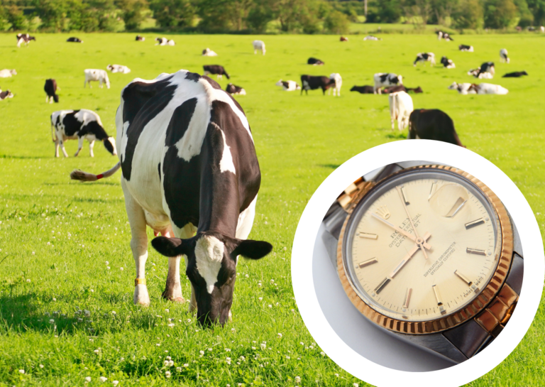 Rolex eaten by cow in 1974 finally returns to its owner — all thanks to this Dutch watchmaker
